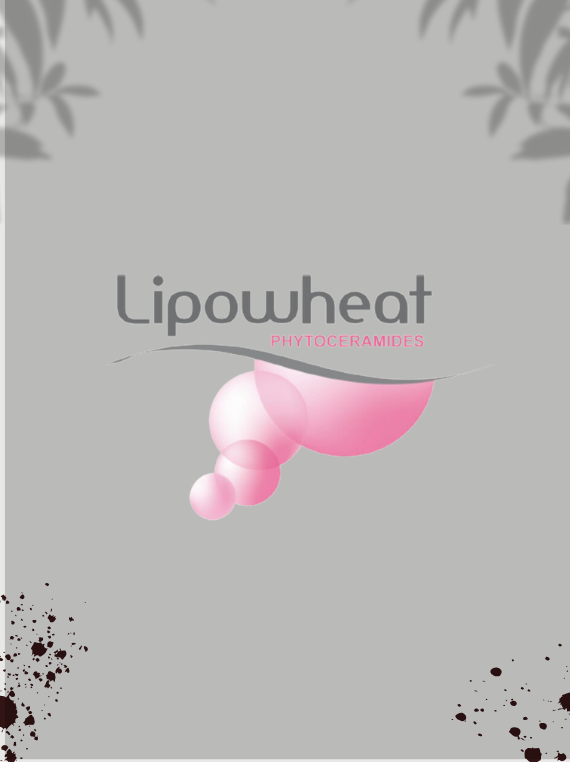 Lipowheat™